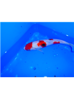 670eaf6b-4ef5-4763-91f6-977d6fcb7f78