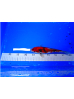 2716e07b-45d7-4bc5-9073-45af6cc8f63f