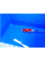 e710f5df-65ad-4c3c-bc7a-9ca2afdc2f36