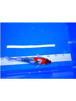 482ec47e-5353-4238-9f26-6855cba1bf6a