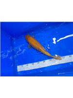 f75189b2-050f-4e51-9002-6cbc7fc53cf7