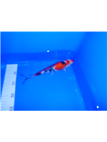 7a2a7147-d155-47b4-8b52-13df0644c6f0