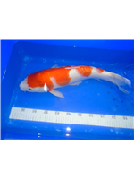 69d1827e-19b7-48b3-9ced-3382112e4c43