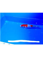 c902e9f1-7ea5-4e33-8d40-7536a6e39316