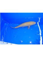 2e43649f-604f-491d-bf0c-8b8c01fab007