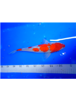 2eeea604-e463-49d9-ab05-7fc018ceb553