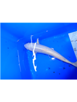 14c2aaff-d0fc-476d-9451-335884cd4942