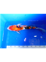 03d88ebd-9c2b-4a73-ae74-8a5ee7e8dd13