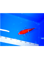 39417177-2a3a-4f10-89c2-fb30507e996f