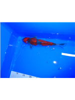 8fcf4168-7576-4d9a-9f2f-3fbb68dbe507