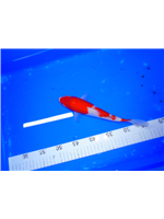 6280a81e-930b-4fa3-a415-dce20150a0ed