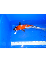 1080b75d-f6c5-47a3-ae3a-94bb01cee0b3