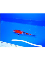 01427026-e0fa-45b4-b052-a219c7c566eb