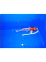 f94cc6d9-3aa5-4140-99da-ceecb3d6acde