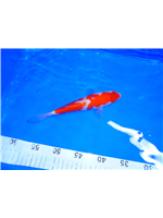 d32c159d-b8e0-4692-b5a9-e357e7c511cf