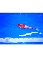 9bdf6f24-e346-4c73-94bd-7f3b675b6487