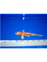 ea16fc03-8ee4-4393-b822-089fcfb638de