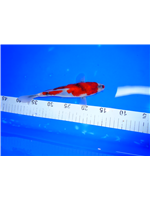 1aa24360-2d67-4356-ba65-47d485201141