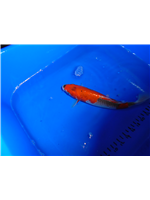 dd29d027-32c4-4251-9045-4d1e797c72b4